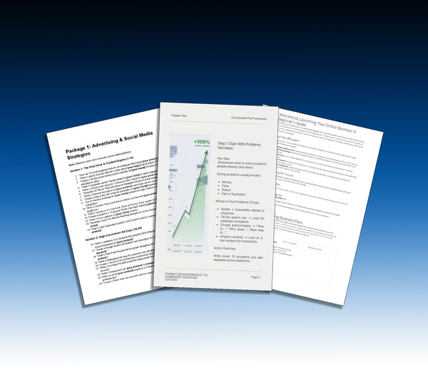 The Business Chronicles for begginers