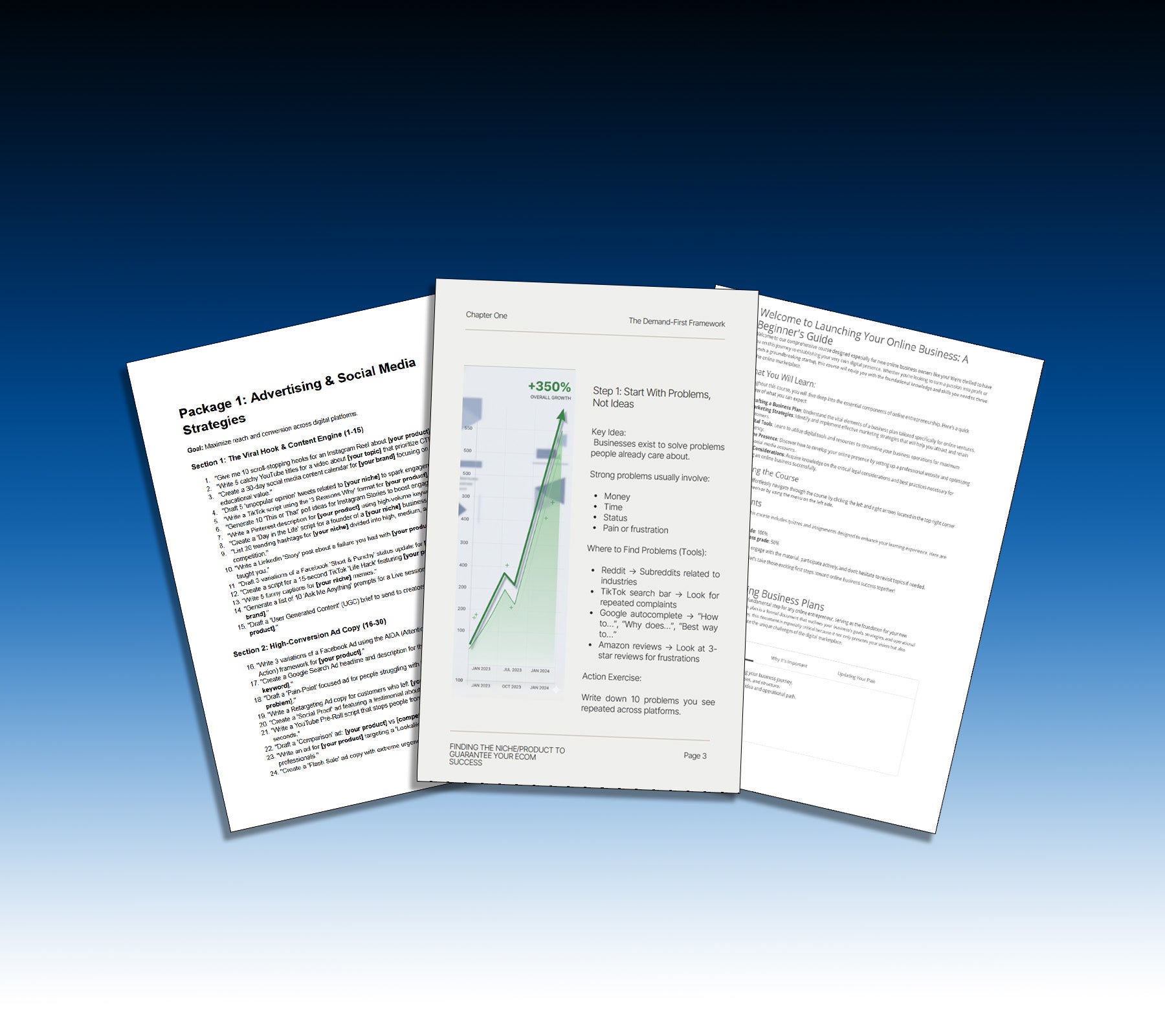 Business Course + All Guides